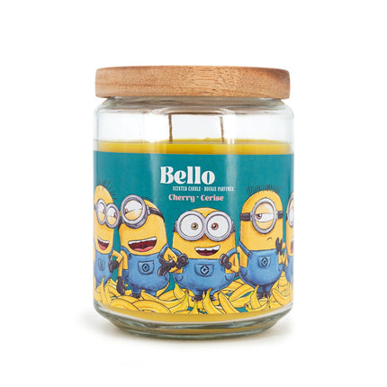 Vonná svíčka Minions, ovocná vůně, 510g