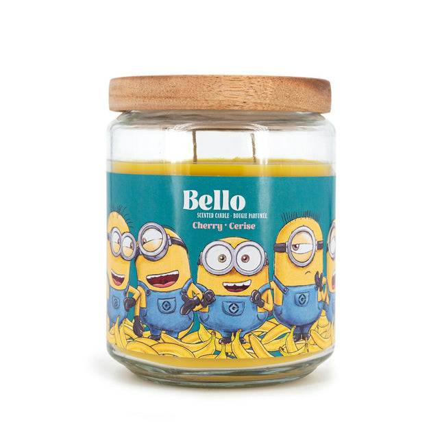 Vonná svíčka Minions, ovocná vůně, 510g