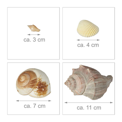 Směs mořských mušlí a ulit 1 kg