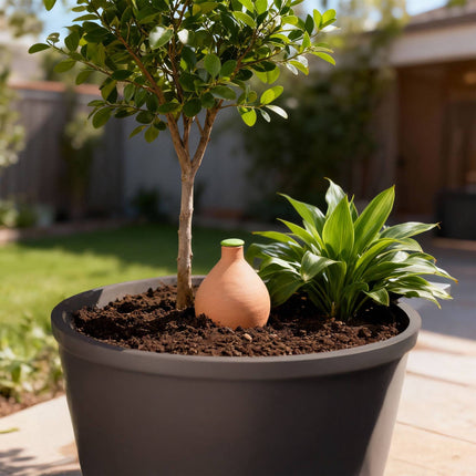 Olla Bewässerungstopf, 3L, poröser Ton, wassersparend