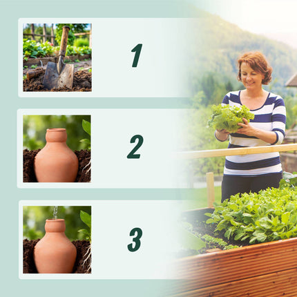 Ollas Irrigation Set, 500ml Clay Pots, 3-Pack