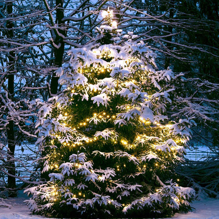 Venkovní LED světelný řetěz, 10m 100 LED, teplá bílá 12V