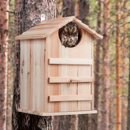 Eulennistkasten Holz
