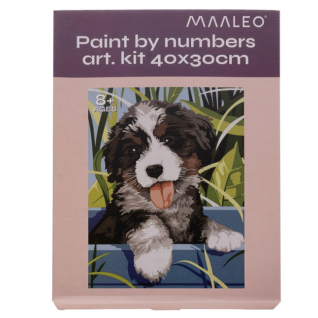 Malování podle čísel 40x30cm - Maaleo pes 22780