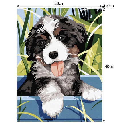 Malování podle čísel 40x30cm - Maaleo pes 22780