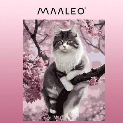 Painting by numbers 40x50cm - Maaleo kitten 22783