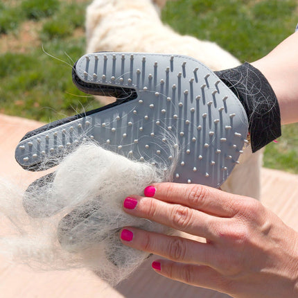 Kartáč a masážní rukavice pro mazlíčky Relpet InnovaGoods