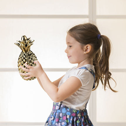 Pokladnička ananas