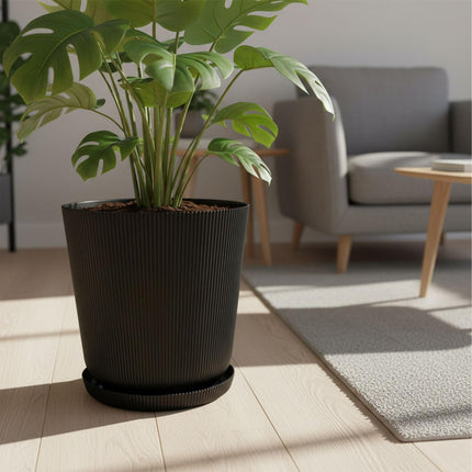 Planters with Saucers, Set of 2, Indoor/Outdoor