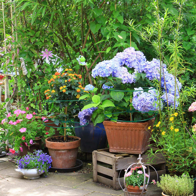 Plantensteun 39 cm set van 6