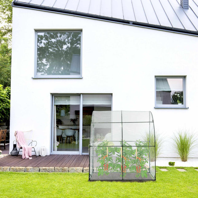 Plastic tomato greenhouse