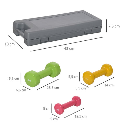Colorful steel dumbbell set with case - 6 weights for fitness