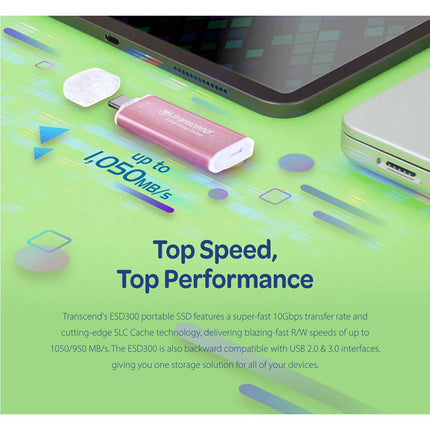 Portable Mini SSD ESD300C USB-C 1TB 10Gbps (R1050/W950 Mb/s) Silver