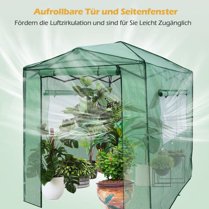 Přenosný pop-up zahradní skleník 180 x 250 x 230 cm, zelený