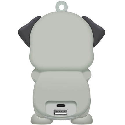 Powerbanka 2,600 mAh 5W pes