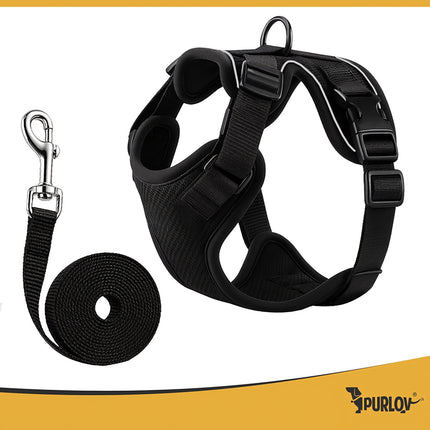 Pressure-Free Dog & Cat Harness with Leash, Size S