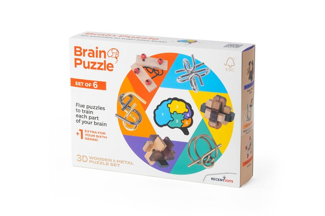 Recent Toys Brainteaser Brain Puzzle Set