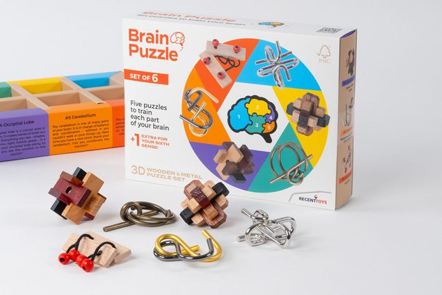 Recent Toys Brainteaser Brain Puzzle Set