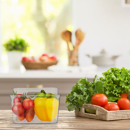 Refrigerator storage with handle