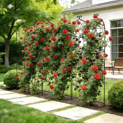 Rose Garden Trellis 2-Pack, 220 x 52.5 cm, Steel