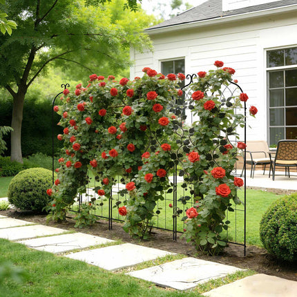 Rose Garden Trellis Set, 6-Pack 180 x 52.5 cm Steel