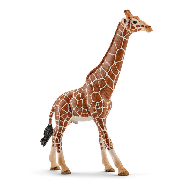 Schleich Wild Life žirafa, samec