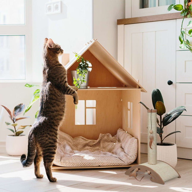 Scratching furniture with scratching board and toys