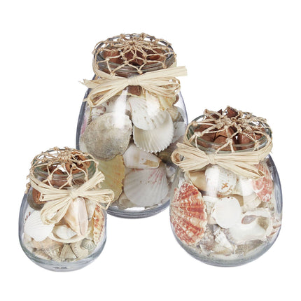 Muschelglas-Set 3-teilig