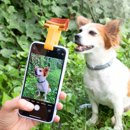 Klip selfie pro mazlíčky Pefie InnovaGoods