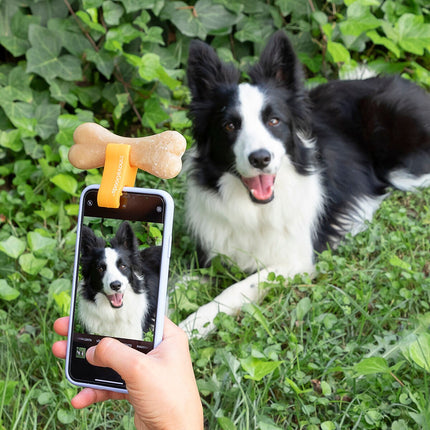 Klip selfie pro mazlíčky Pefie InnovaGoods