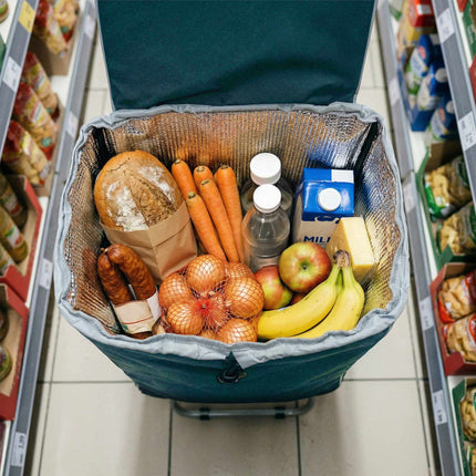 Nákupní taška na kolečkách 40L, termo, skládací, tyrkysová