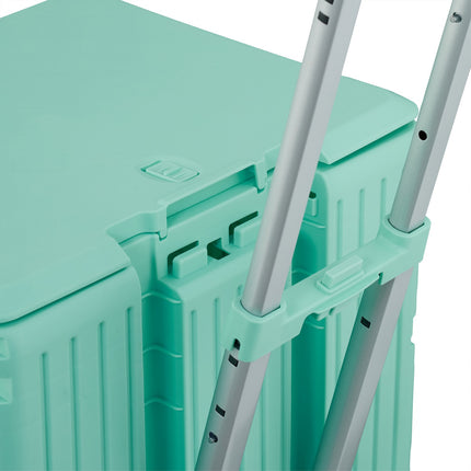 Shopping cart with hood