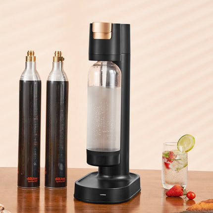 Sparkling Water Maker Kit – 1L Bottle, 2 CO2 Cylinders