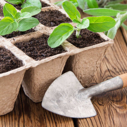 Square fiber pots