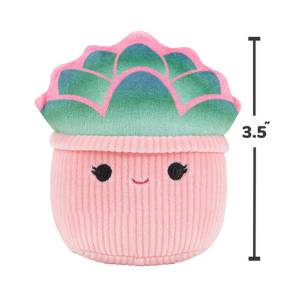 Pískací plyšová hračka pro psy Squishmallows, 2 ks, 9 Cm
