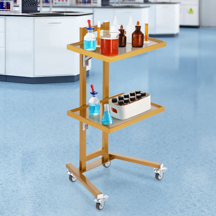 Stainless Steel 2-Tier Lab Cart, 2 Trays, 44 lb Capacity