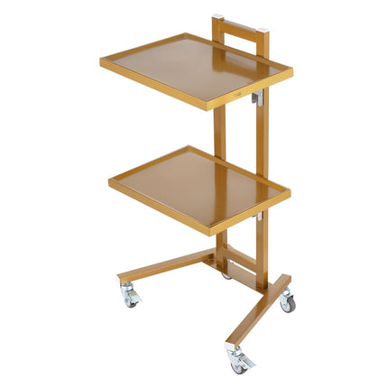 Stainless Steel 2-Tier Lab Cart, 2 Trays, 44 lb Capacity
