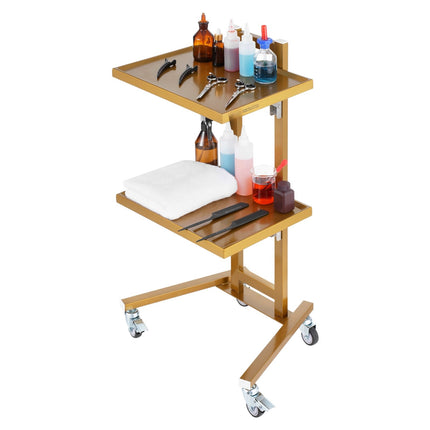 Stainless Steel 2-Tier Lab Cart, 2 Trays, 44 lb Capacity