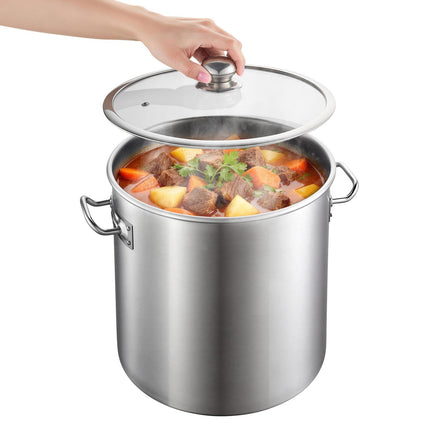 Stainless Steel Stock Pot 21 Qt with Glass Lid, Induction