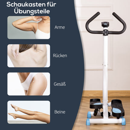 Fitness Swing Stepper with handle, LCD, 100 kg capacity