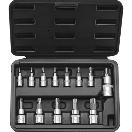Torx Bit Socket Set, 13-Piece T8-T60, 3 Drive Sizes