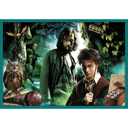 Trefl Harry Potter puzzle sada 10 v 1