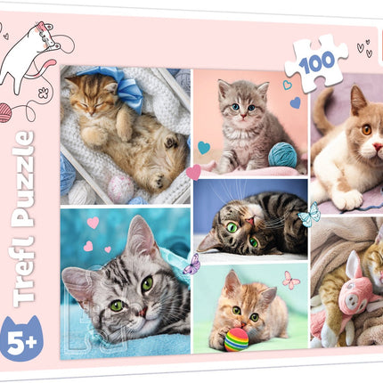 Puzzle Trefl ve světě koček 100 dílků