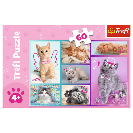 Puzzle Trefl koťata 60 dílků