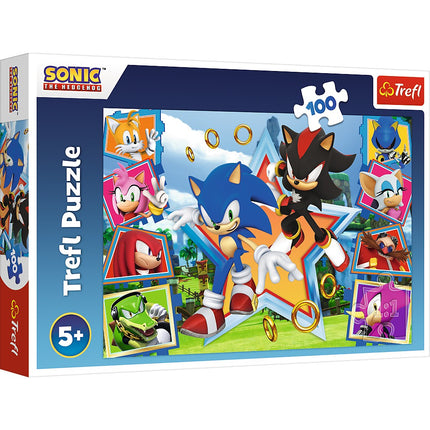 Puzzle Trefl Sonic 100 dílků