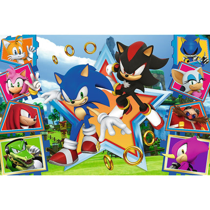 Puzzle Trefl Sonic 100 dílků