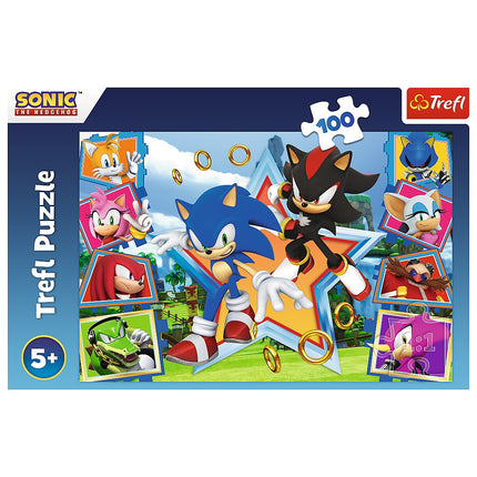 Puzzle Trefl Sonic 100 dílků