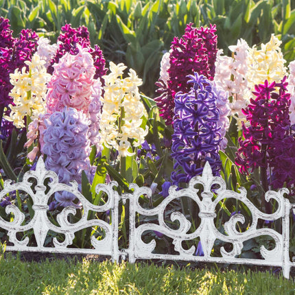 Vintage Garden Bed Fence, 10 Cast Iron Panels