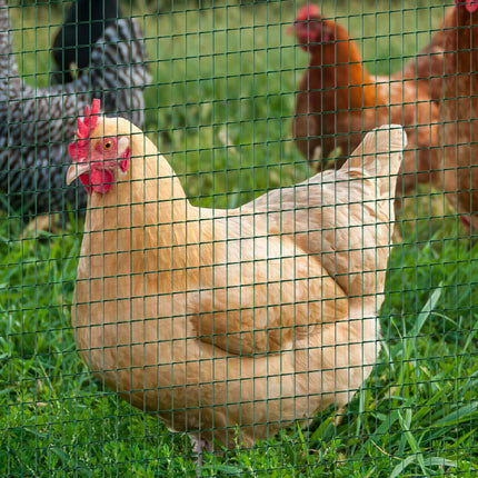 Flexibilní ochranná PVC síť tmavě zelená, 0.9x30M