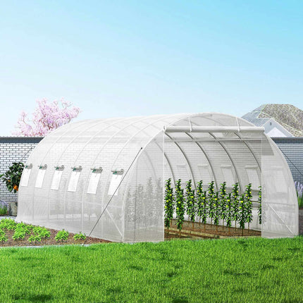 Walk-In Tunnel Greenhouse 20x10x7 ft, 2 Doors, 12 Windows